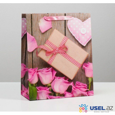 Package gift laminated 26x32x12 cm